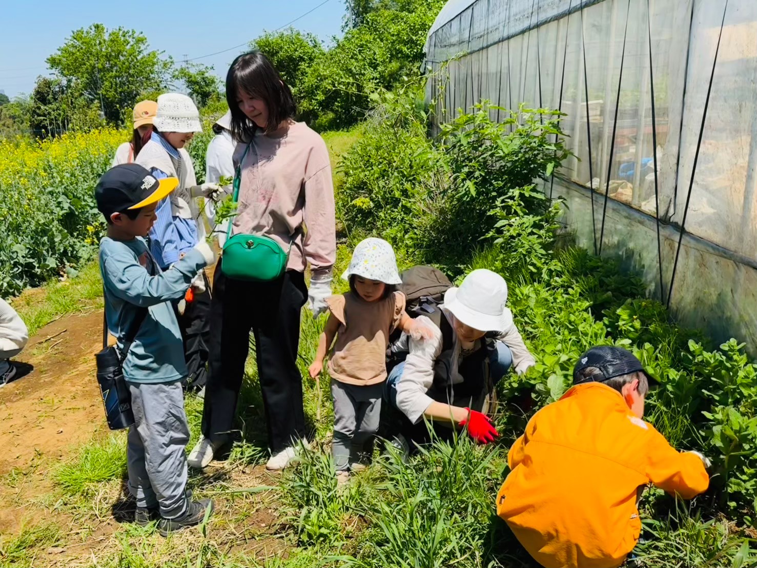2024・5 開催しました！ハーブ寄せ植え体験｜nuucoto.official